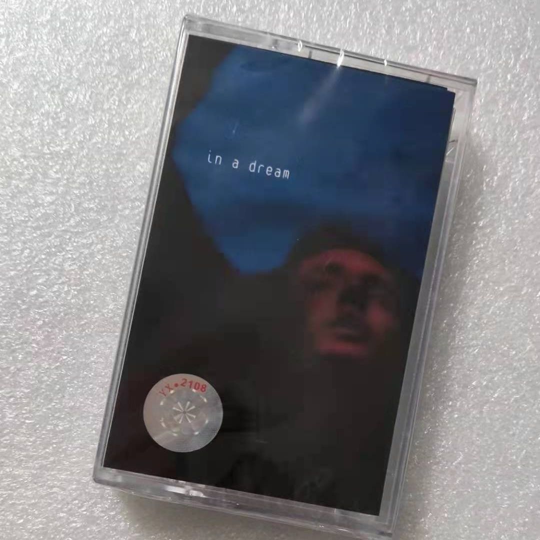 Troye Sivan In A Dream Album M – Electronic Gift recenzja i cena