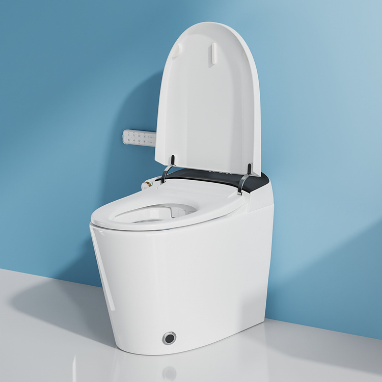 Dekoracja domu Łazienka Inteli – Electronics For Home recenzja i cena