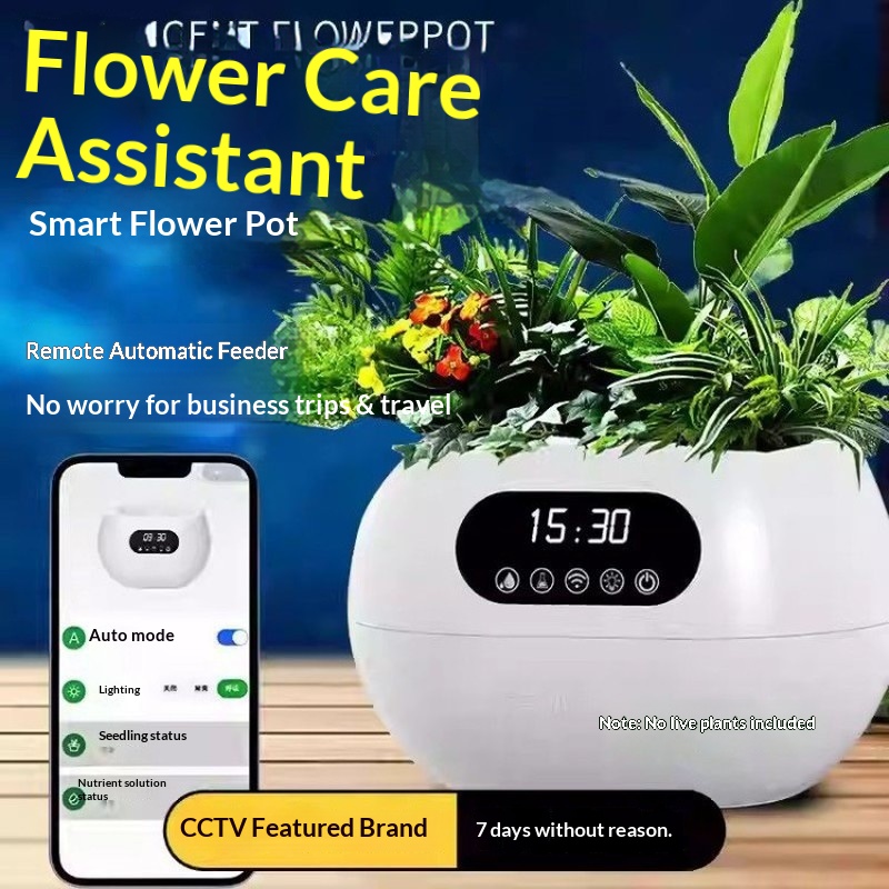 Inteligentna doniczka AI z aut – Electronic Gift recenzja i cena